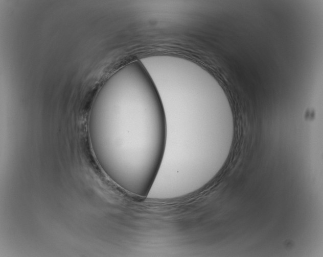 X0000111630601200907171130
