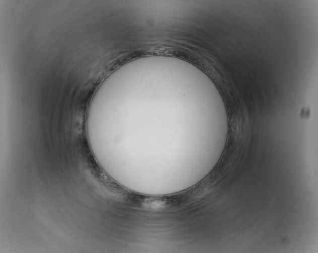 X0000111630602200907171130