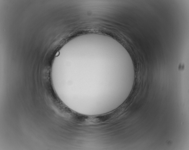 X0000111630603200907171130