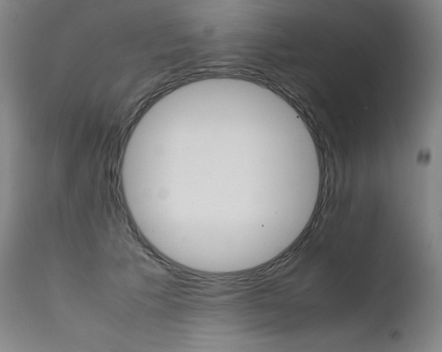 X0000111630609200907171130
