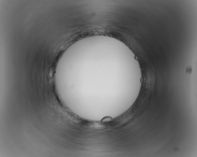 X0000111630610200907171130