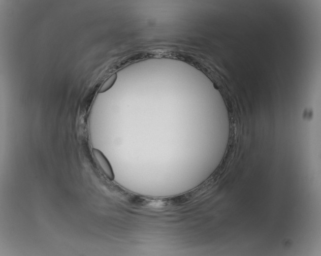 X0000111630611200907171130