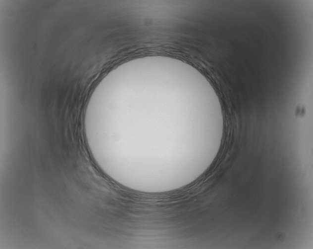 X0000111630613200907171130