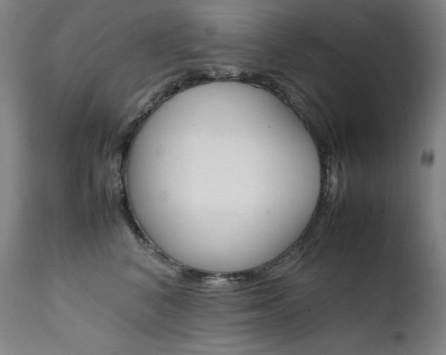 X0000111630616200907171130