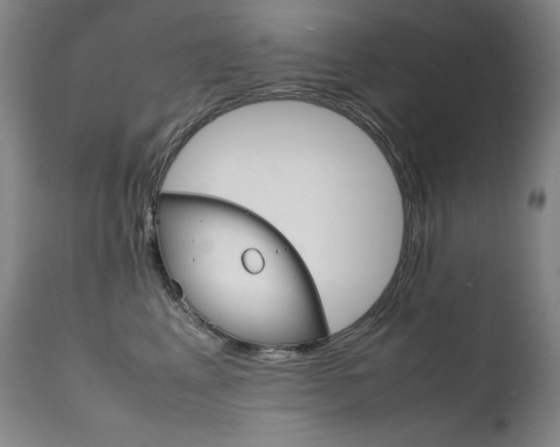 X0000111630617200907171130