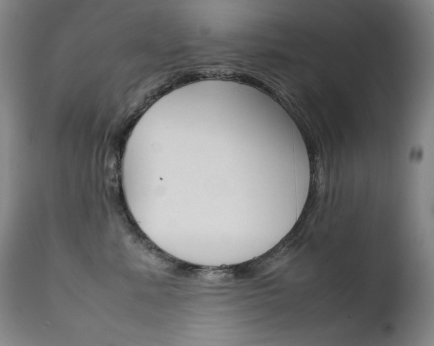 X0000111630619200907171130