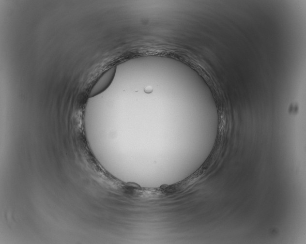 X0000111630621200907171130