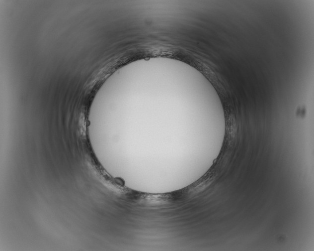 X0000111630622200907171130