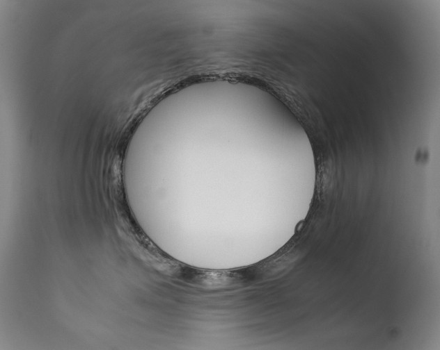 X0000111630623200907171130