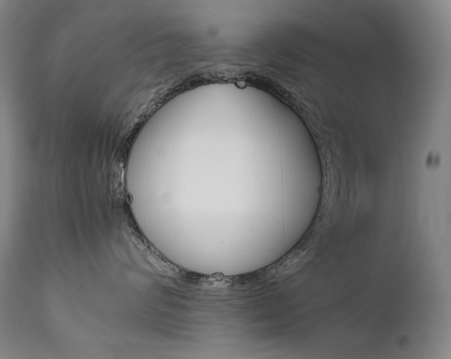 X0000111630624200907171130