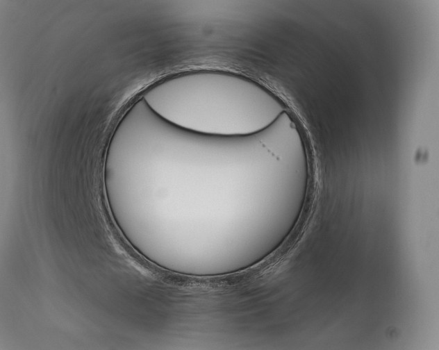 X0000111630625200907171129