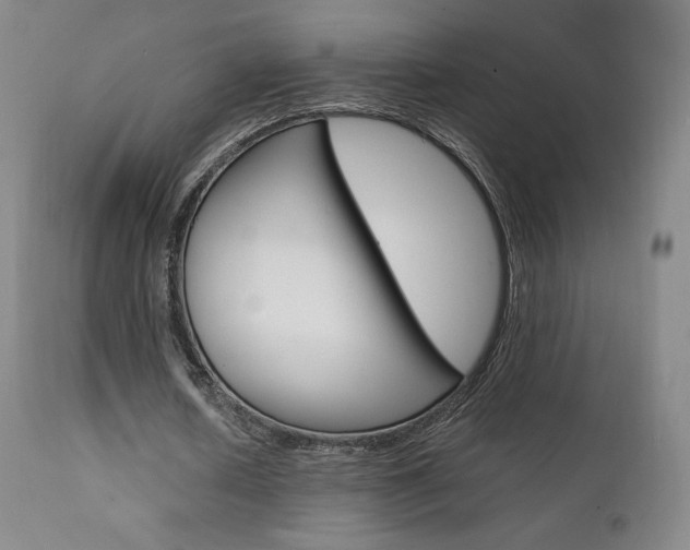 X0000111630626200907171129