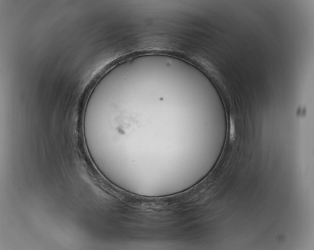 X0000111630627200907171129
