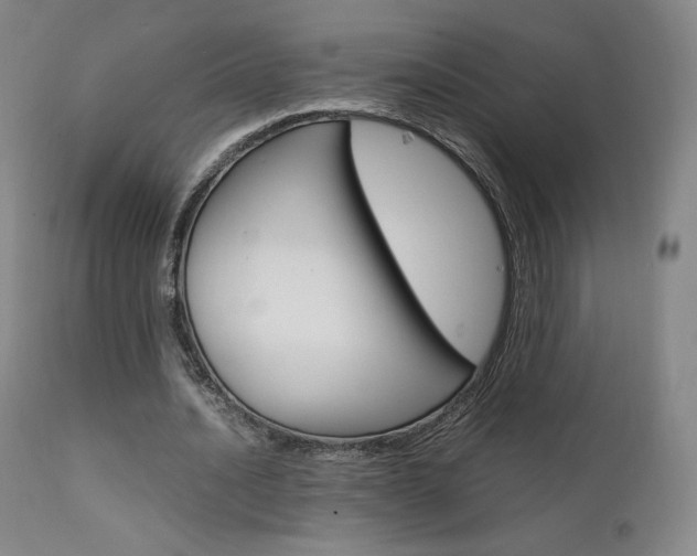 X0000111630628200907171129