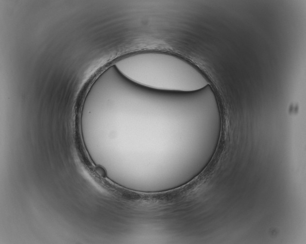 X0000111630630200907171129