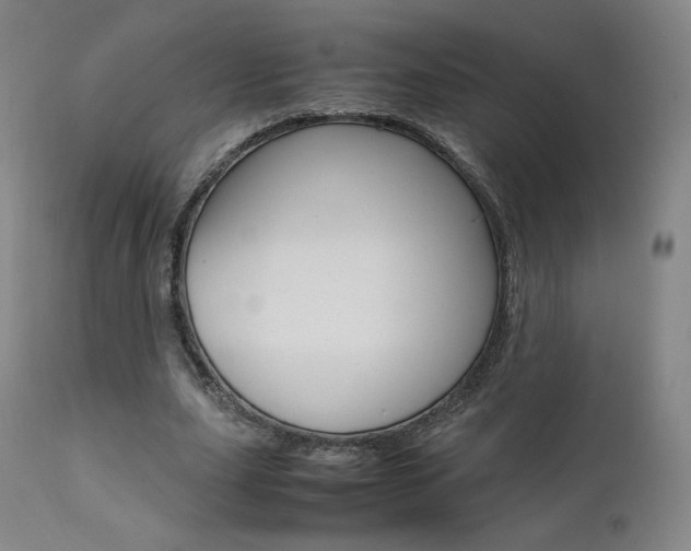 X0000111630631200907171129