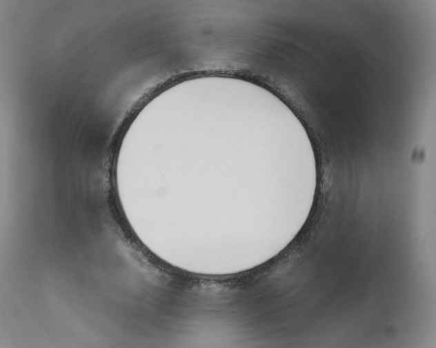 X0000111630632200907171129