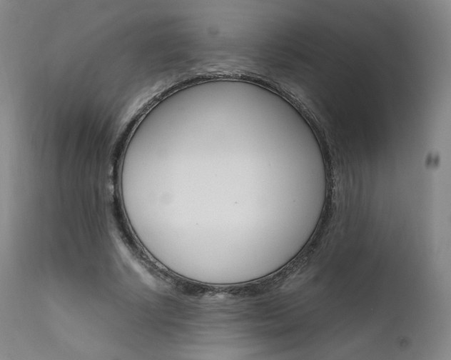 X0000111630634200907171129