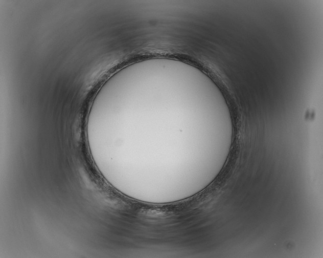 X0000111630635200907171129