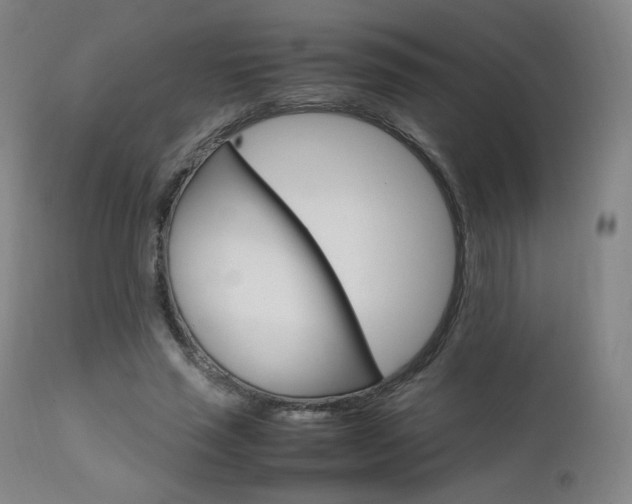X0000111630637200907171129