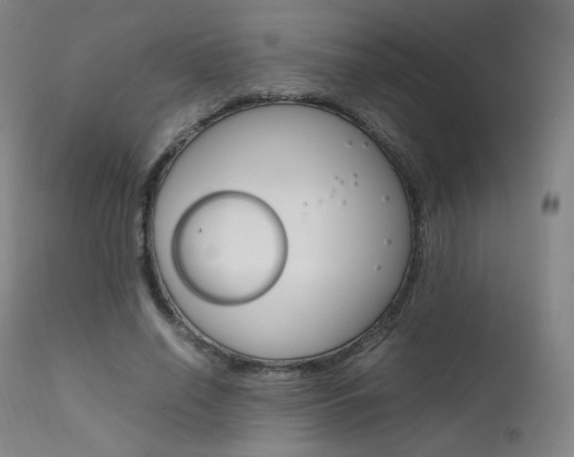 X0000111630638200907171129