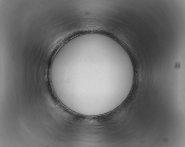 X0000111630640200907171129