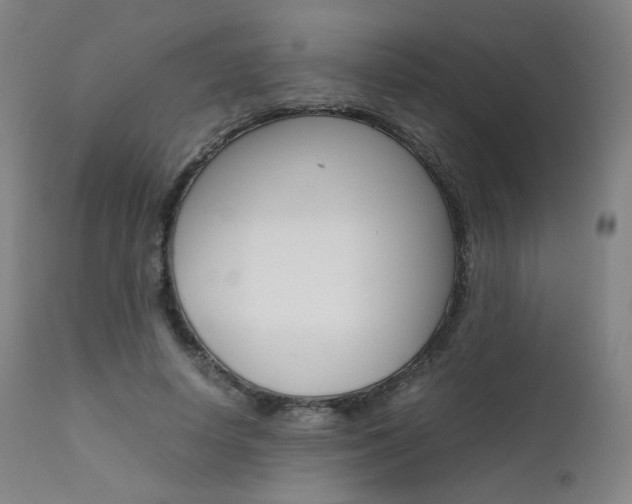 X0000111630642200907171129