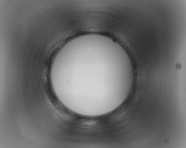 X0000111630643200907171129