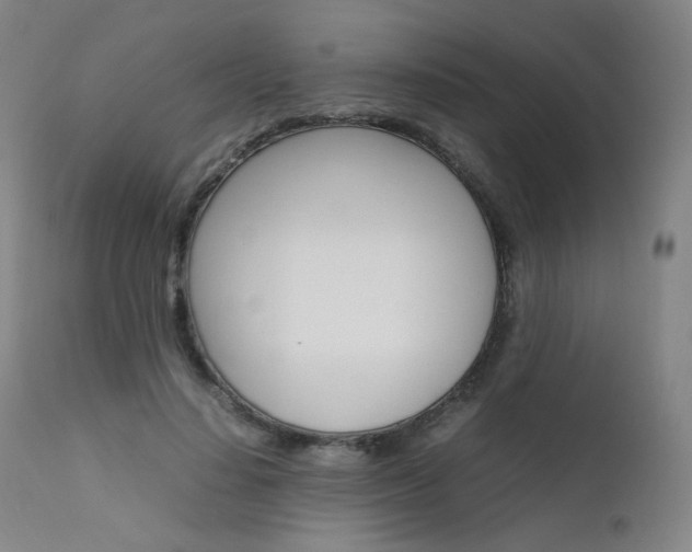 X0000111630644200907171129