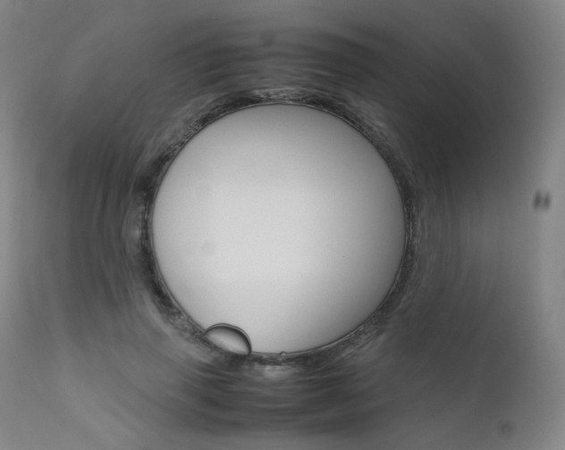 X0000111630645200907171129