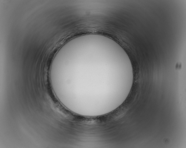 X0000111630646200907171129