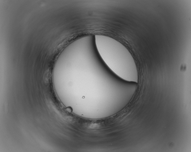 X0000111630647200907171130