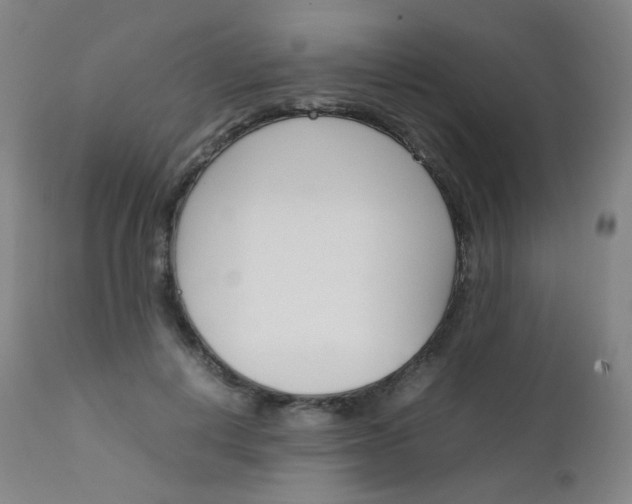 X0000111630648200907171130