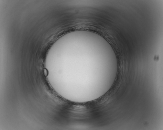 X0000111630649200907171130