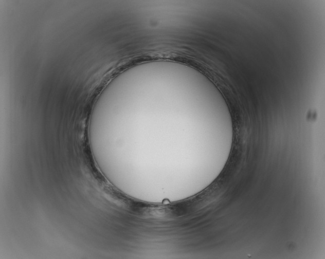 X0000111630652200907171130
