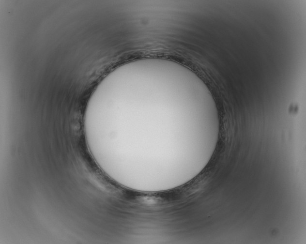X0000111630654200907171130