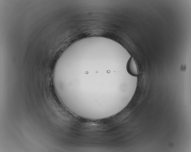 X0000111630655200907171130