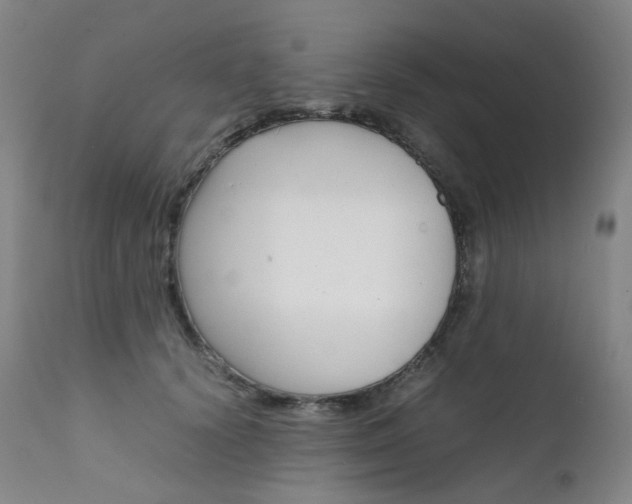 X0000111630656200907171130