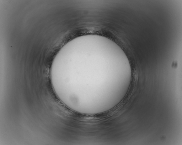 X0000111630657200907171130