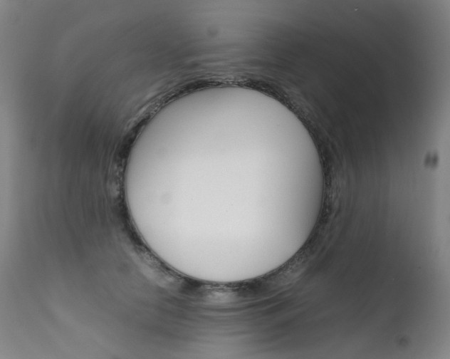 X0000111630658200907171130