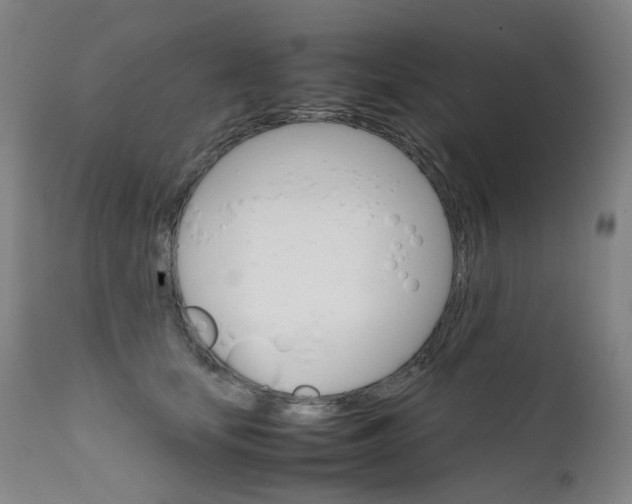 X0000111630659200907171130