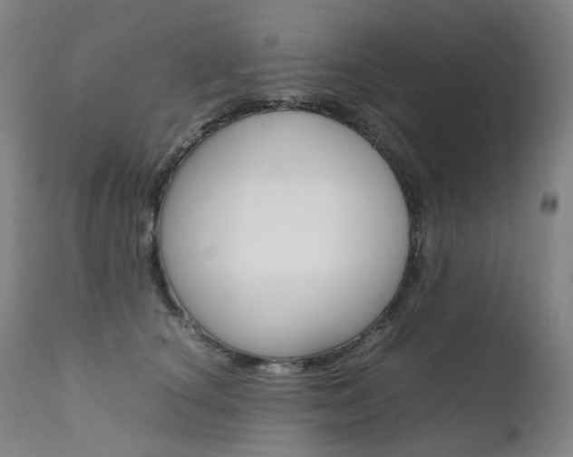X0000111630660200907171130