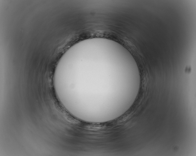 X0000111630661200907171130