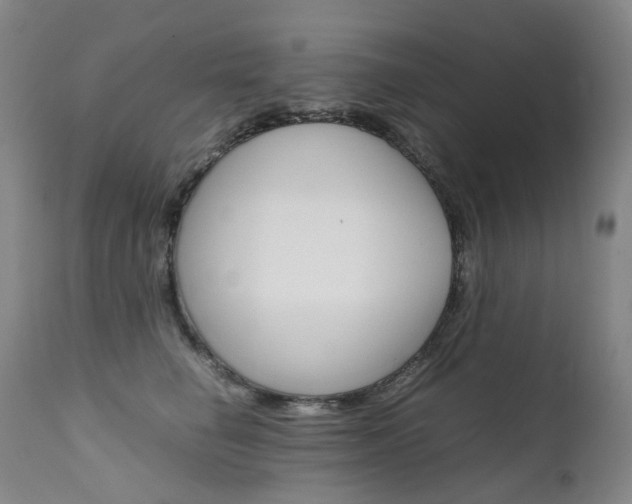 X0000111630662200907171130