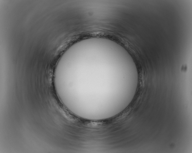 X0000111630664200907171130