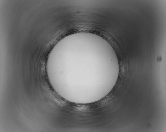 X0000111630667200907171130