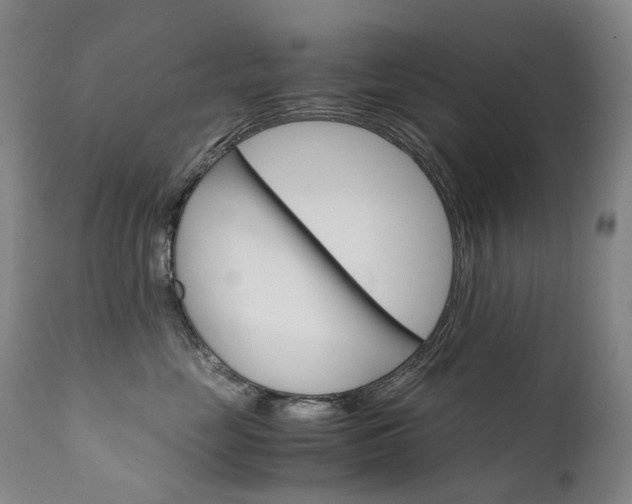 X0000111630669200907171130