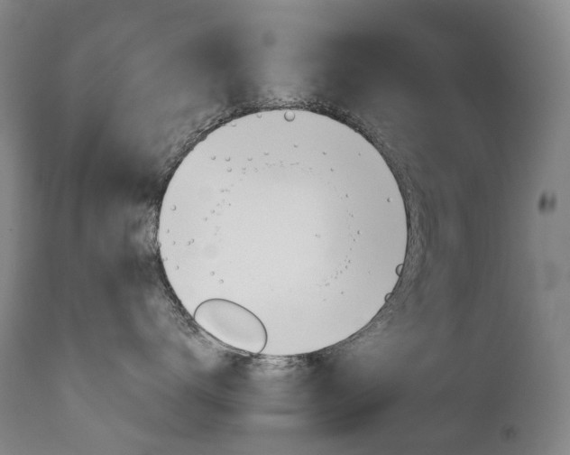 X0000111630672200907171130