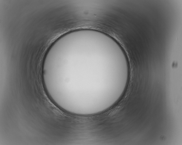 X0000111630673200907171129