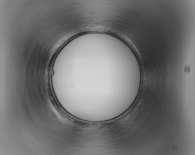 X0000111630674200907171129